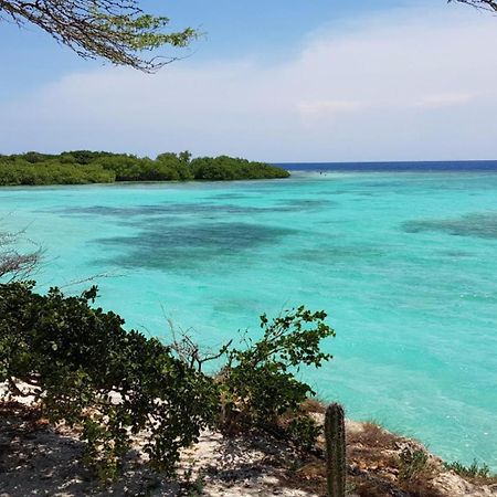 Palmhouse Apartments Aruba 1- 4 Persons Savaneta 外观 照片