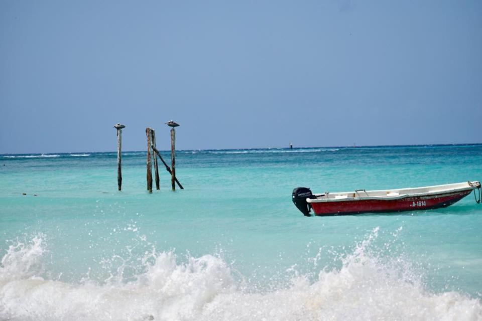 Palmhouse Apartments Aruba 1- 4 Persons Savaneta 外观 照片