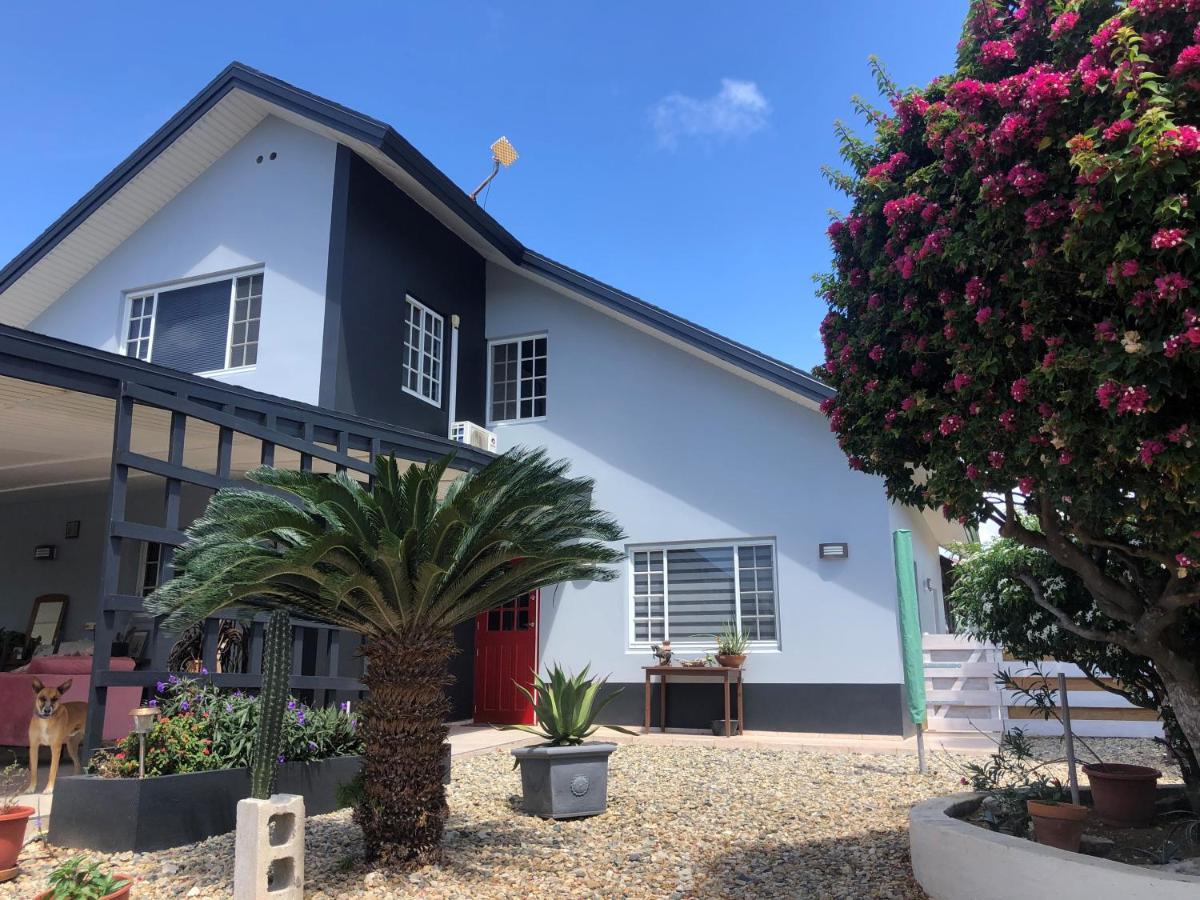 Palmhouse Apartments Aruba 1- 4 Persons Savaneta 外观 照片