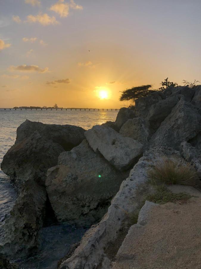 Palmhouse Apartments Aruba 1- 4 Persons Savaneta 外观 照片