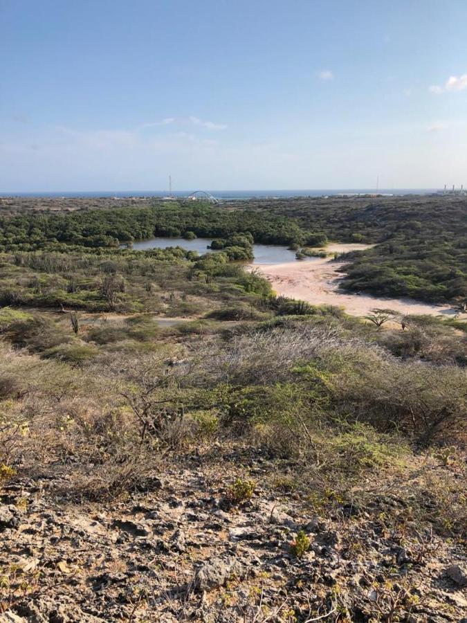 Palmhouse Apartments Aruba 1- 4 Persons Savaneta 外观 照片