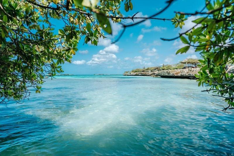 Palmhouse Apartments Aruba 1- 4 Persons Savaneta 外观 照片