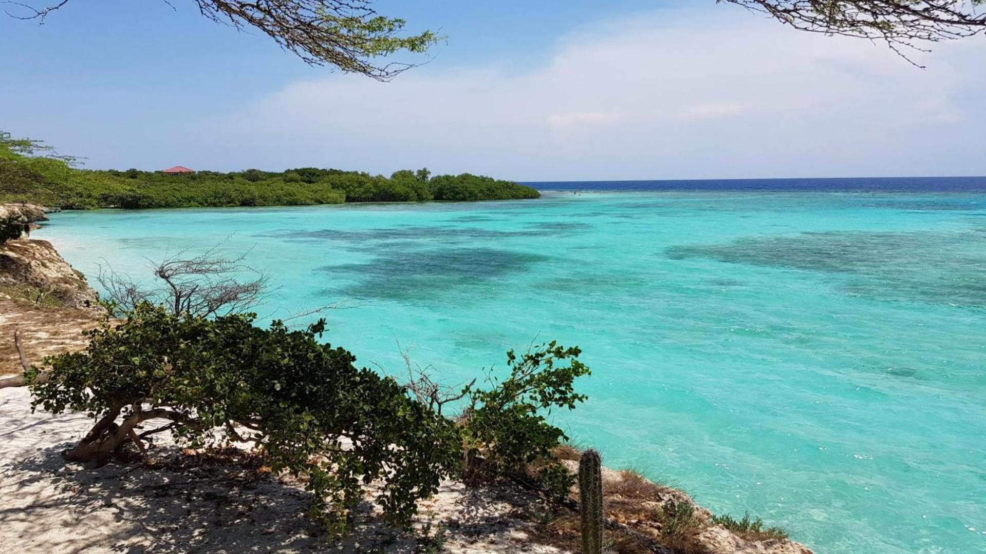 Palmhouse Apartments Aruba 1- 4 Persons Savaneta 外观 照片