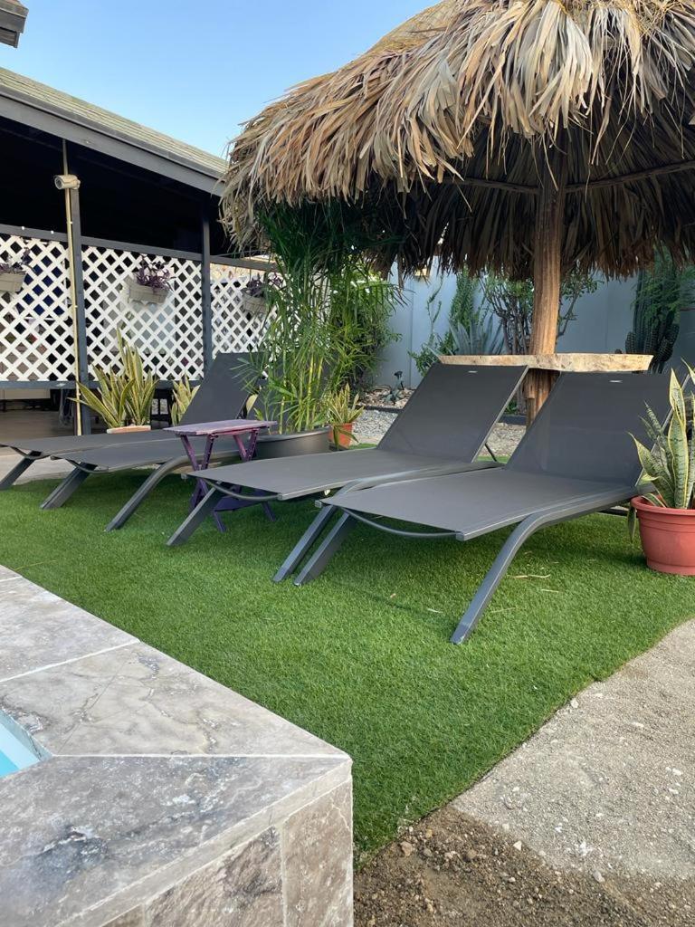 Palmhouse Apartments Aruba 1- 4 Persons Savaneta 外观 照片