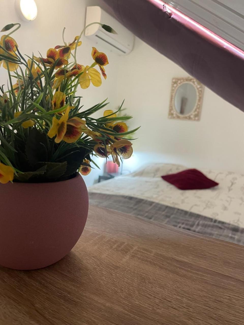 Palmhouse Apartments Aruba 1- 4 Persons Savaneta 外观 照片