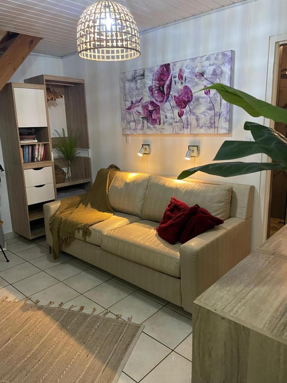 Palmhouse Apartments Aruba 1- 4 Persons Savaneta 外观 照片