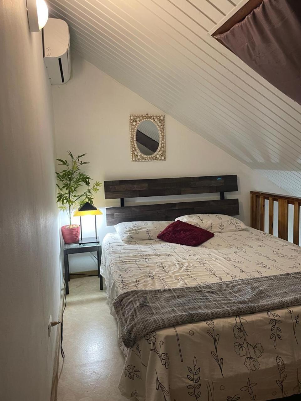 Palmhouse Apartments Aruba 1- 4 Persons Savaneta 外观 照片