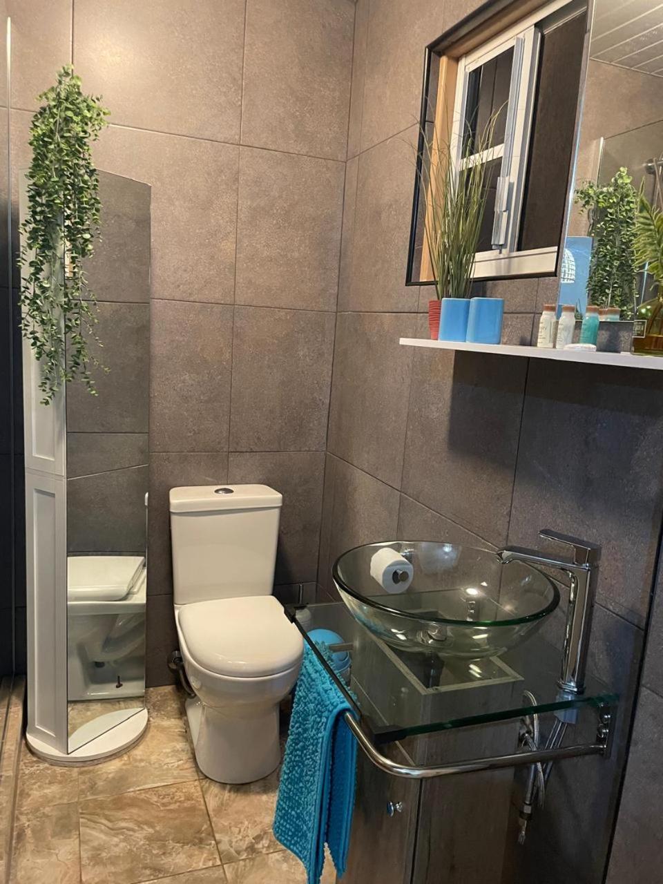 Palmhouse Apartments Aruba 1- 4 Persons Savaneta 外观 照片