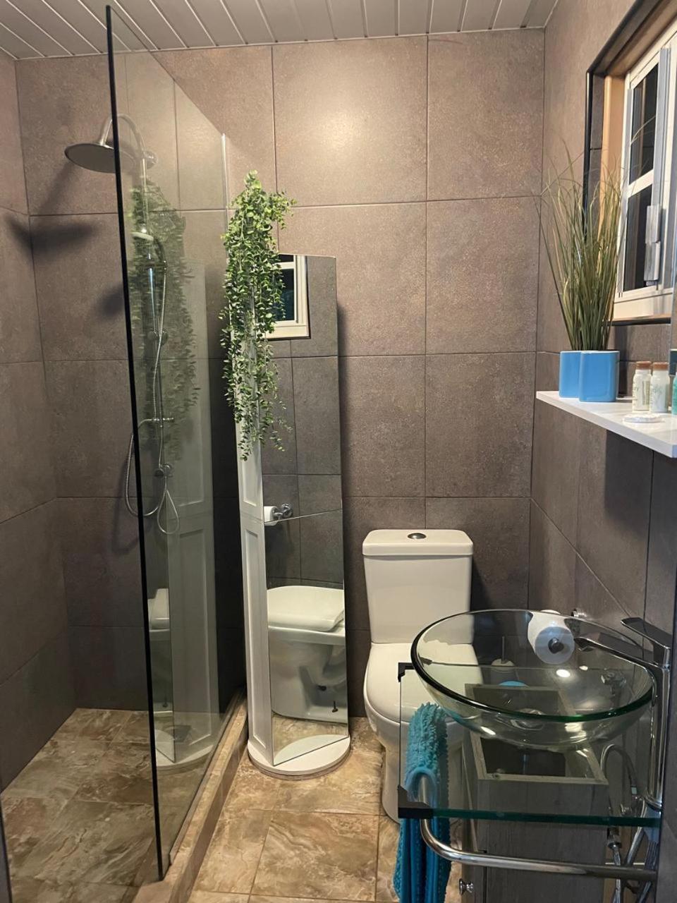 Palmhouse Apartments Aruba 1- 4 Persons Savaneta 外观 照片