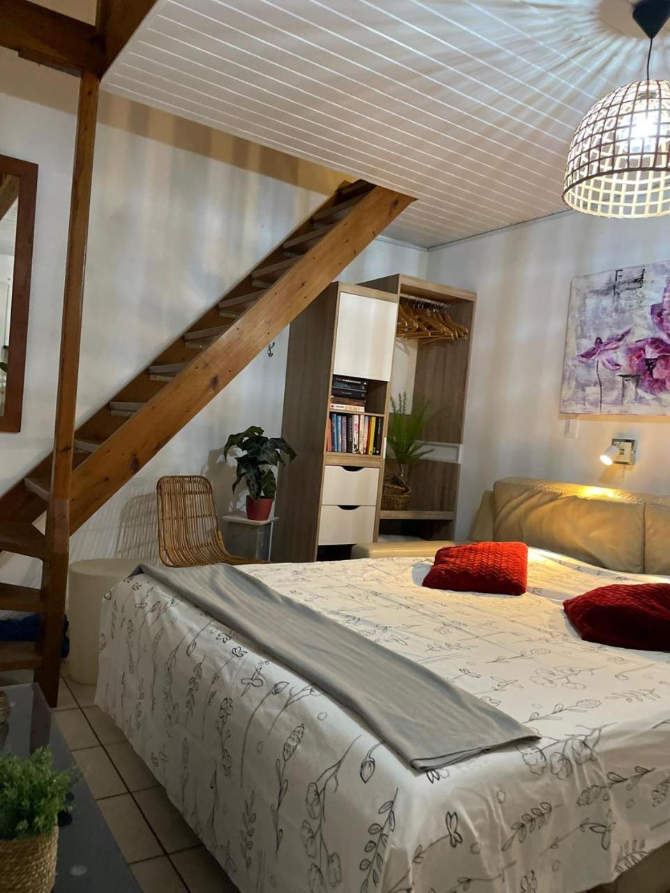 Palmhouse Apartments Aruba 1- 4 Persons Savaneta 外观 照片