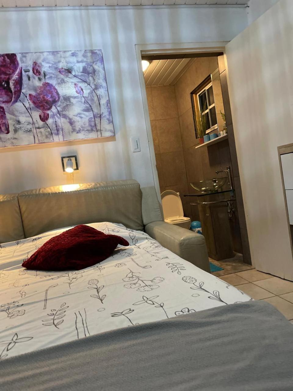 Palmhouse Apartments Aruba 1- 4 Persons Savaneta 外观 照片